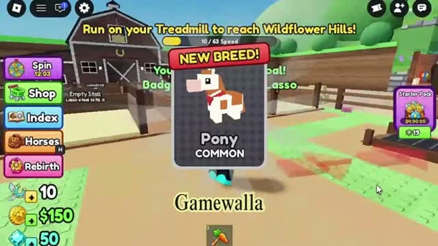 Pony COMMON discovery card and next training objective