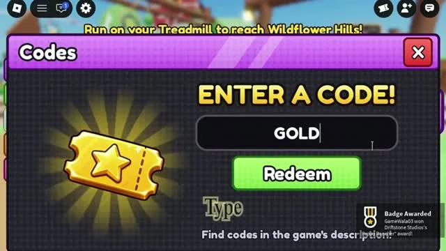 Codes entry window and green Redeem button